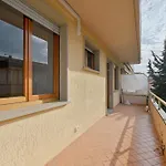 Guesthost - Casa Del Sole Comfy Flat With Parking Marina di Massa